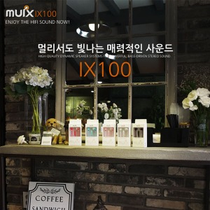 [MUIX]IX100